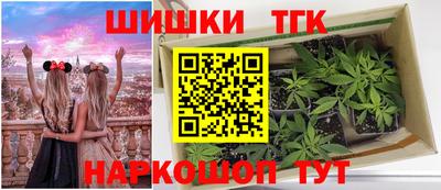 дмт Донской