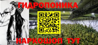 дмт Донской