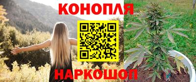 ешки Дубна